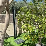 Tatil Evi Casa Erika